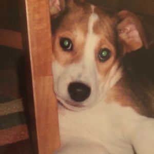 Meet your Posher, Lindsey